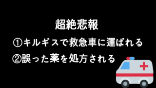 海外病院保険