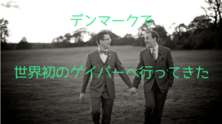 デンマークゲイ