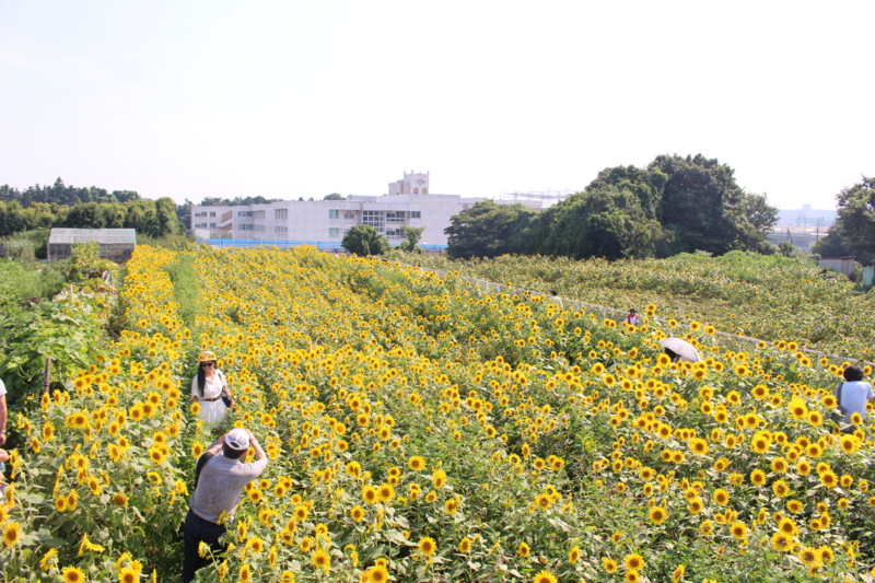 f:id:l-traveler-lovetabi:20160705232336j:plain f:id:l-traveler-lovetabi:20160705232336j:plain