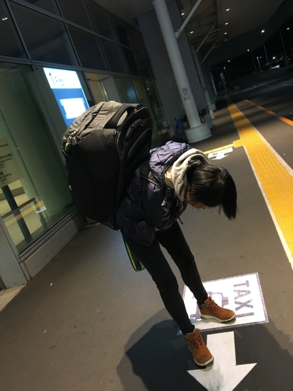f:id:l-traveler-lovetabi:20170110232803j:plain f:id:l-traveler-lovetabi:20170110232803j:plain