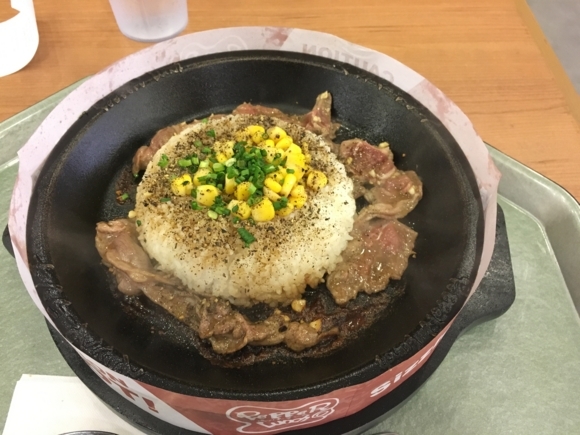 f:id:l-traveler-lovetabi:20170603031537j:plain f:id:l-traveler-lovetabi:20170603031537j:plain