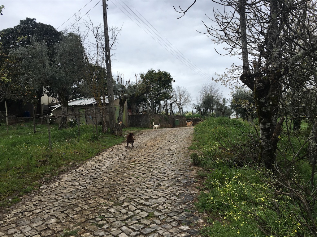 f:id:l-traveler-lovetabi:20180407082653j:plain f:id:l-traveler-lovetabi:20180407082653j:plain