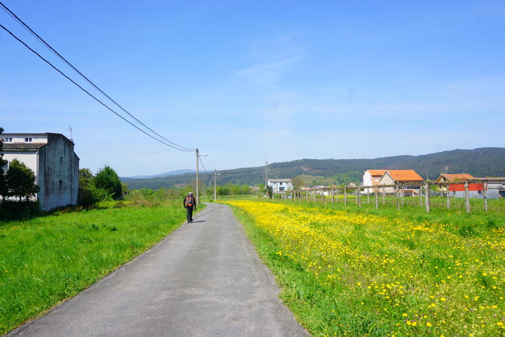 f:id:l-traveler-lovetabi:20180507182009j:plain f:id:l-traveler-lovetabi:20180507182009j:plain