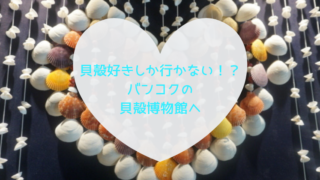 バンコク貝殻博物館