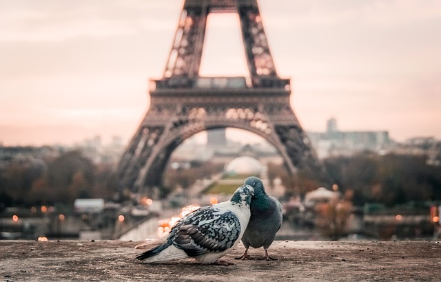 フランス