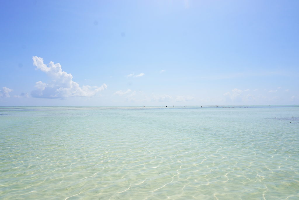 ザンジバル 海
