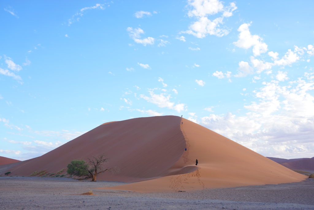 Dune45